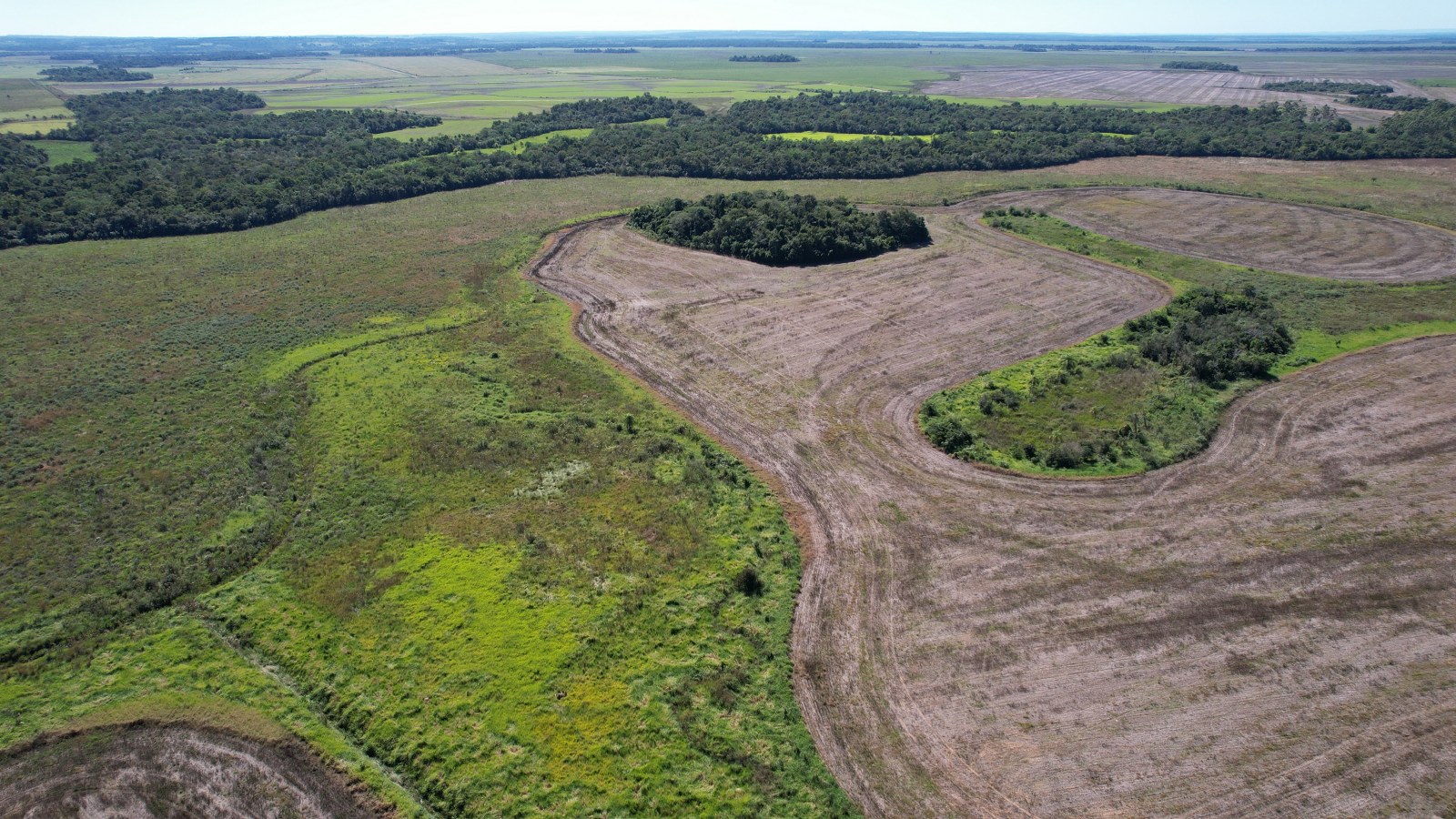 Unique Investment Opportunity In Paraguay 2508 Hectares Prime Cropping